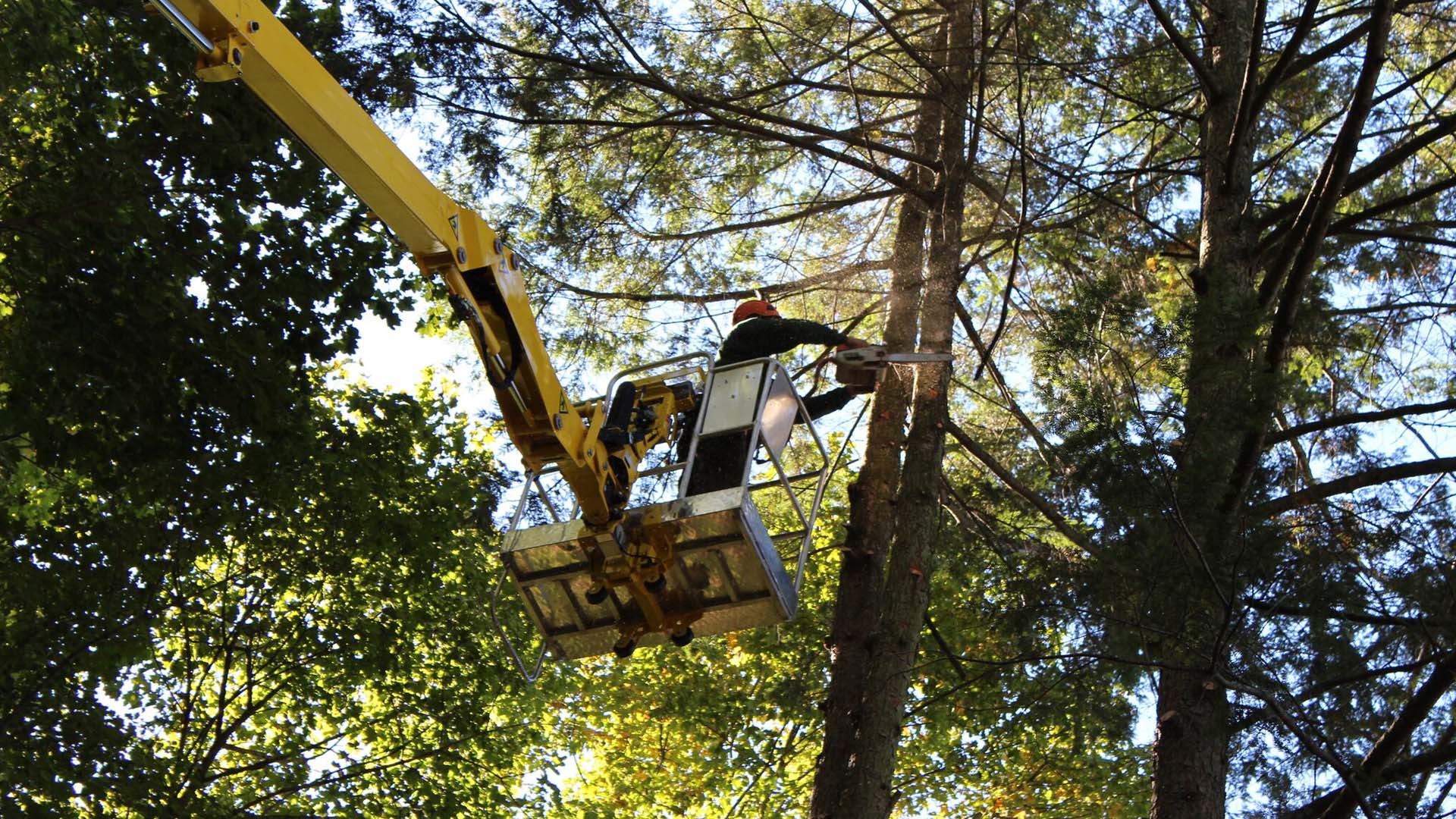 spider-tree-lift-16x9-1